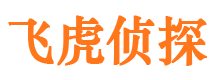 曹县市调查公司